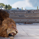Image for article titled A Screenshot Tour Back Through The Stunning Assassin's Creed Origins